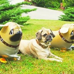 Heliumballon-Geschenk Airwalker Mops