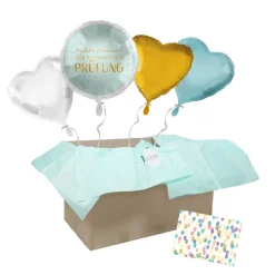 Heliumballon-Geschenk "Herzlichen Glückwunsch zur bestandenen Prüfung"