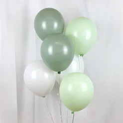 Luftballon-Set Eukalyptus Euphorie 20 Stk.