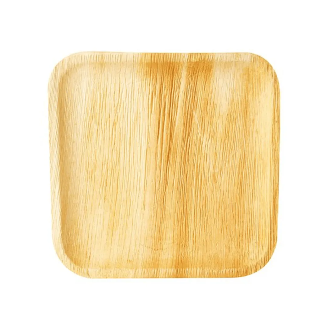 Palmblatt Teller Quadratisch 25,5cm 6 Stk.