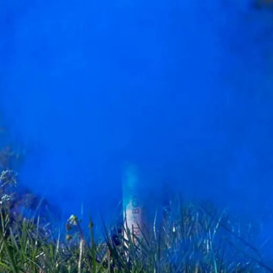 Rauchbombe 22,5 cm Gender Reveal - Blau