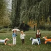 Tierballon XL Bulldog