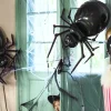 Tierballon XL Spinne
